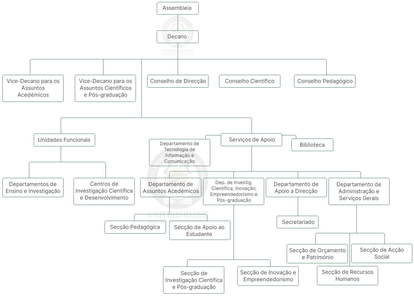 Organigrama da FCA