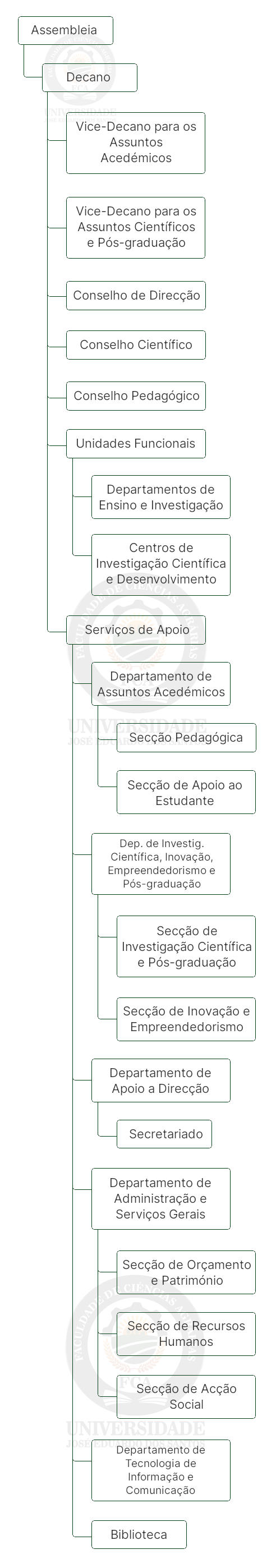 Organigrama da FCA