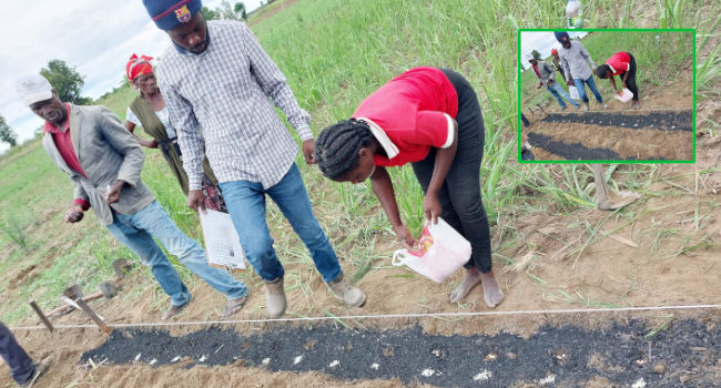 Prof. Adriano Bingobingo proj. Biochar (campo)